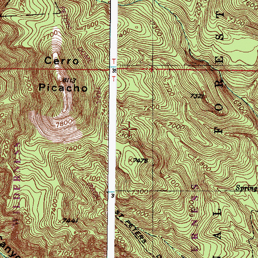 Topographic Map of Dome Wilderness, NM