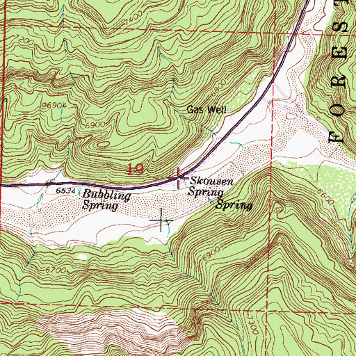 Topographic Map of Skousen Spring, NM