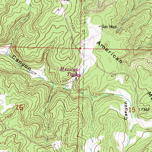 Topographic Map of American Tank, NM