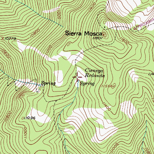 Topographic Map of Cienega Redonda, NM