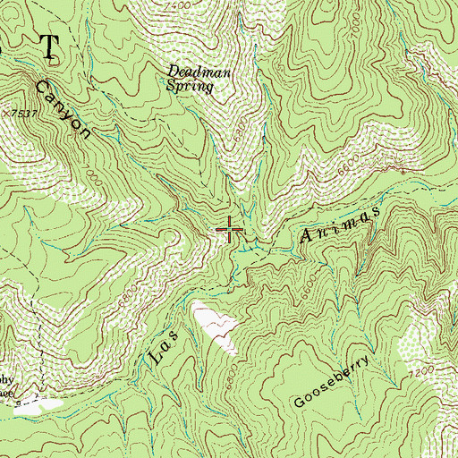 Topographic Map of Victorio Park Canyon, NM