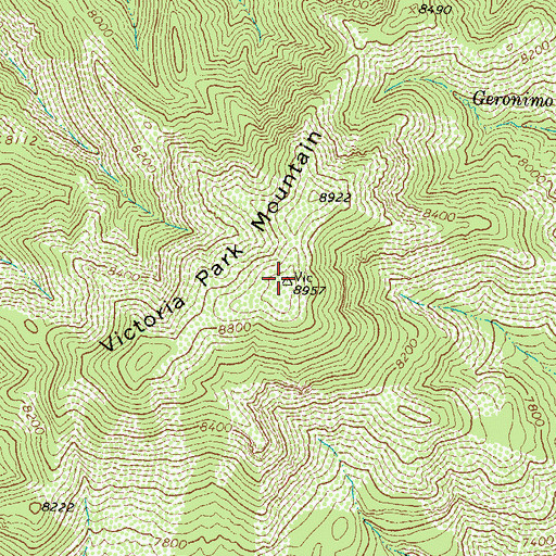 Topographic Map of Victorio Park Mountain, NM