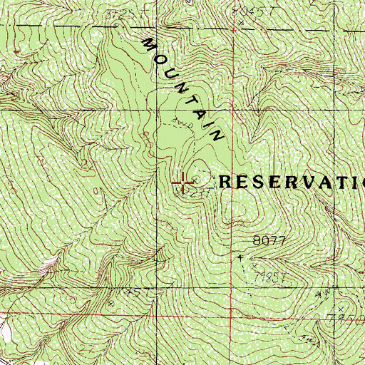 Topographic Map of Dulce Mountain, NM