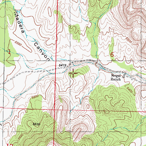 Topographic Map of Madera Canyon, NM