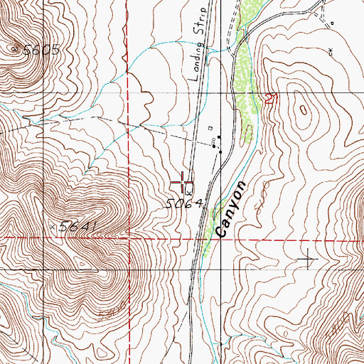 Topographic Map of Diamond A Ranch Airport, NM
