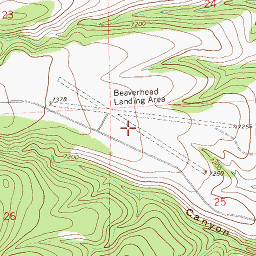 Topographic Map of Beaverhead Airstrip, NM