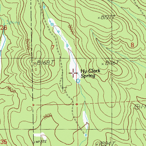 Topographic Map of Hy Clark Spring, NM
