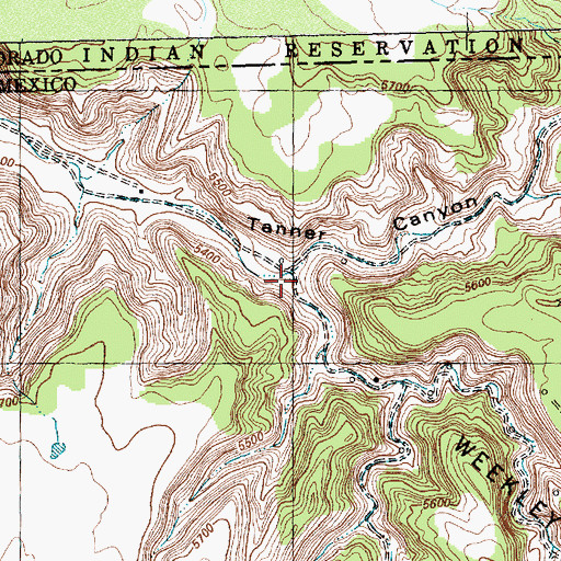 Topographic Map of Tanner Canyon, NM
