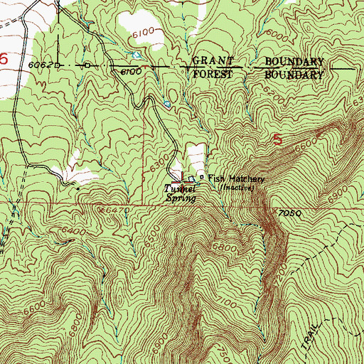 Topographic Map of Tunnel Spring Trailhead, NM