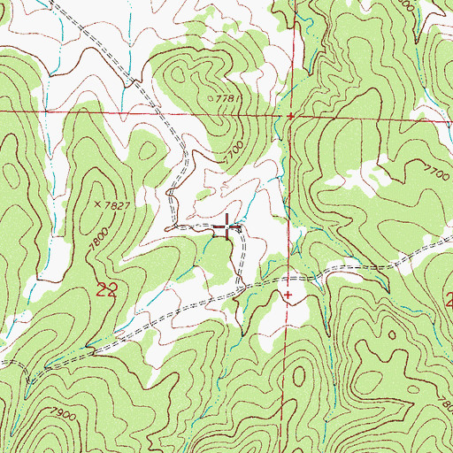 Topographic Map of Bolander Windmill, NM