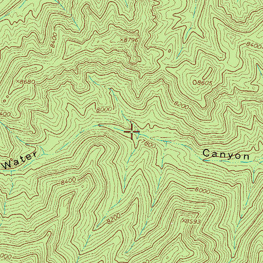 Topographic Map of Leke Spring, NM