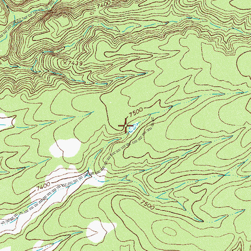 Topographic Map of Blazes Tank, NM