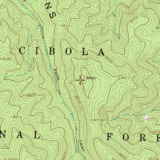 Topographic Map of Bull Saddle, NM