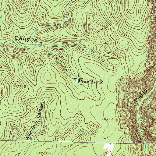 Topographic Map of Pine Cabin, NM