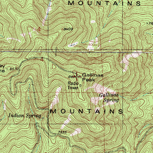 Topographic Map of Gallinas Lookout, NM