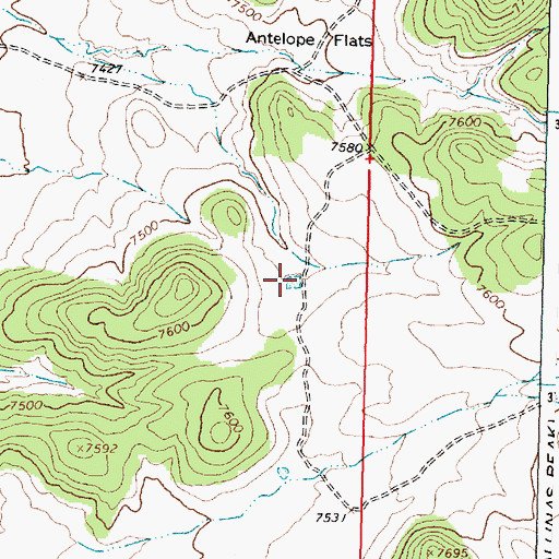 Topographic Map of Indian Tank, NM