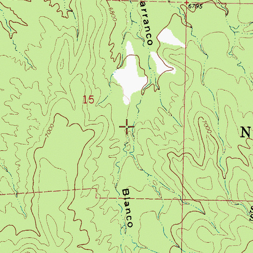 Topographic Map of Scott Spring Canyon, NM