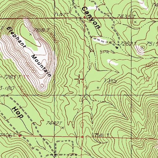 Topographic Map of Elephant Spring, NM