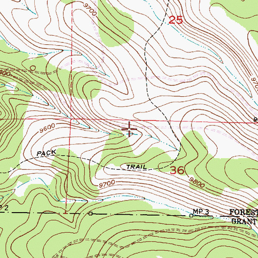 Topographic Map of Leche Spring, NM