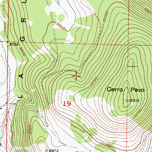 Topographic Map of Pavo Spring, NM