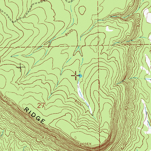 Topographic Map of Bottom Stock Tank, NM