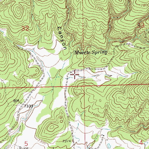 Topographic Map of Muerto Well, NM