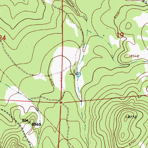 Topographic Map of Sheep Corral Stock Tank, NM