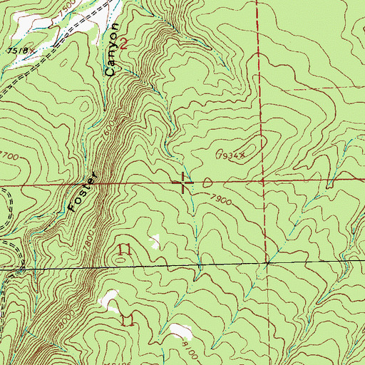 Topographic Map of Yellow Stock Tank, NM