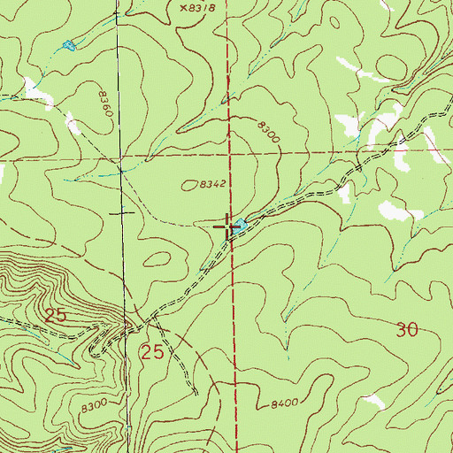 Topographic Map of Black Stock Tank, NM