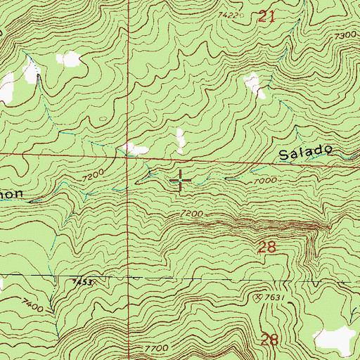 Topographic Map of Salado Spring, NM