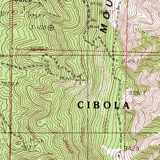 Topographic Map of Young America Mine, NM