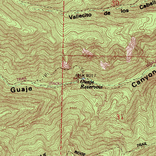 Topographic Map of Guaje Reservoir, NM