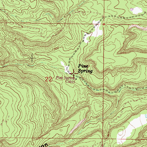 Topographic Map of Pine Spring, NM