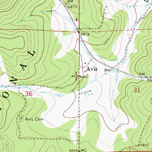 Topographic Map of Avis Post Office (historical), NM