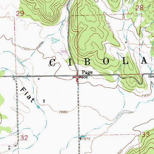 Topographic Map of Page Post Office (historical), NM