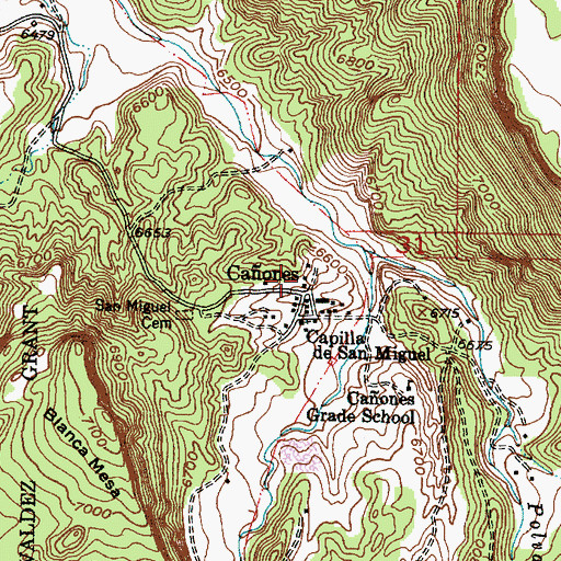 Topographic Map of Caones Post Office, NM