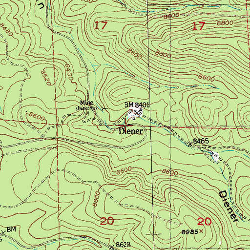 Topographic Map of Diener Post Office (historical), NM