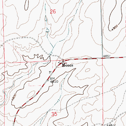 Topographic Map of Moses Post Office (historical), NM