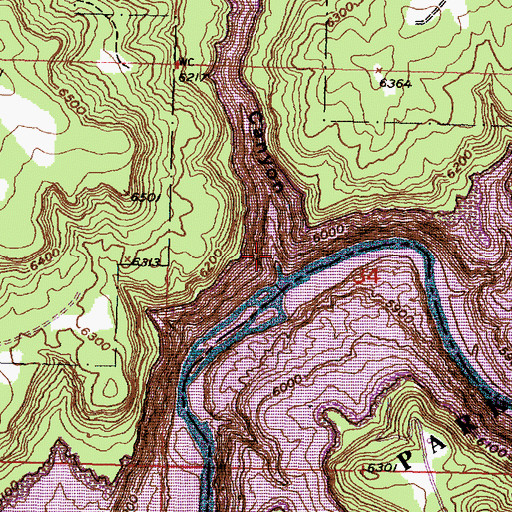 Topographic Map of Dick Earl Canyon, NM