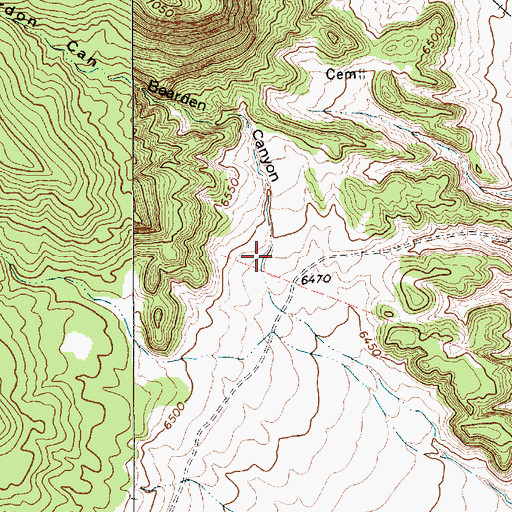 Topographic Map of Beardon Canyon, NM