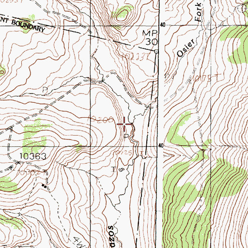 Topographic Map of Osier Fork Rio Brazos, NM
