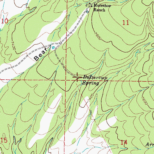Topographic Map of Buttercup Spring, NM