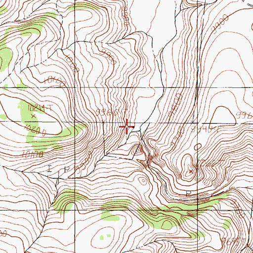 Topographic Map of Bagwell Cow Camp, NM