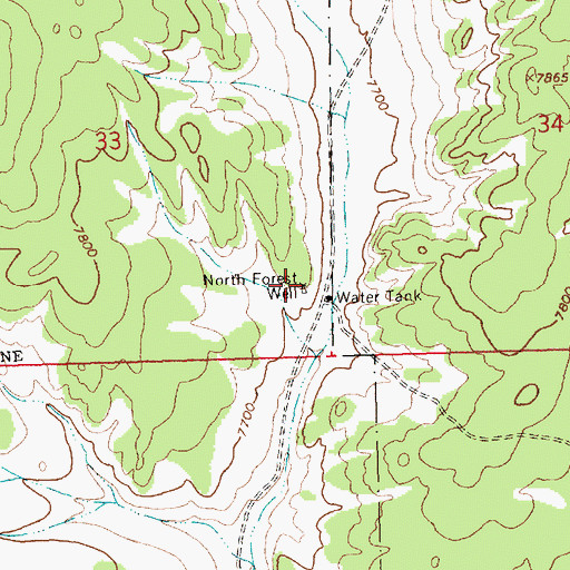 Topographic Map of North Forest Well, NM