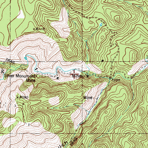 Topographic Map of Silver Glance Mine, NM