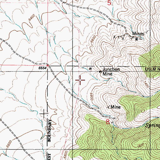 Topographic Map of Sylvanite Mine, NM