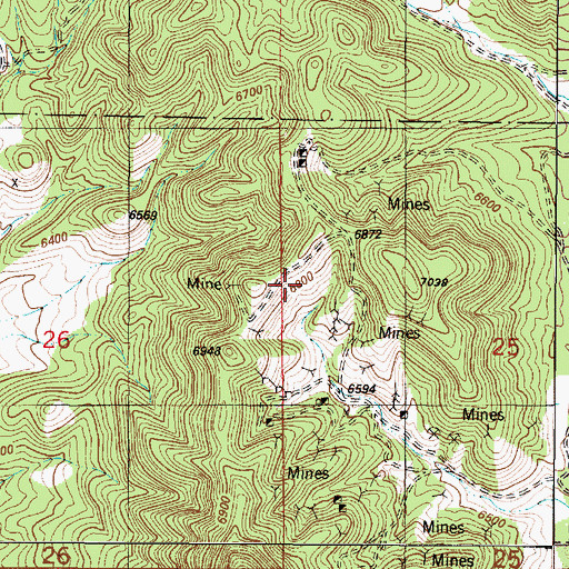 Topographic Map of Large Hopes Mine, NM