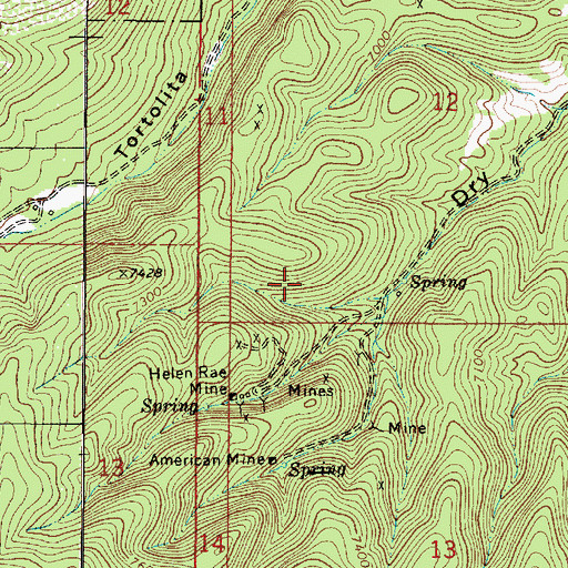 Topographic Map of Nelgect Mine, NM