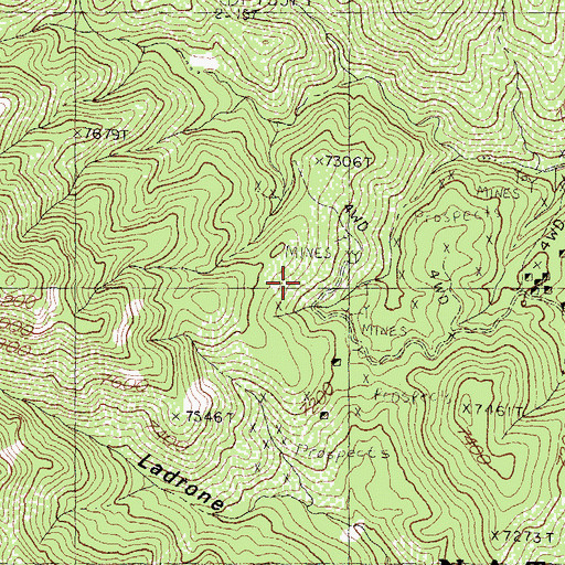 Topographic Map of Blackie Number 1 Mine, NM