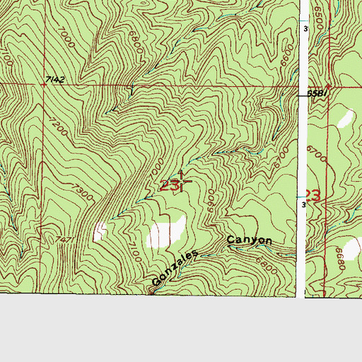 Topographic Map of Placitas Mine, NM